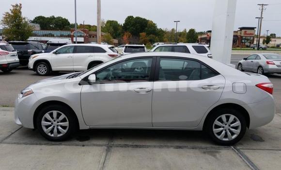 Buy Used Toyota Corolla Other Car in Muscat in Masqat Buy Used Toyota Corolla Other Car in Muscat in Masqat