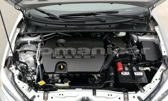 Buy Used Toyota Corolla Other Car in Muscat in Masqat Buy Used Toyota Corolla Other Car in Muscat in Masqat