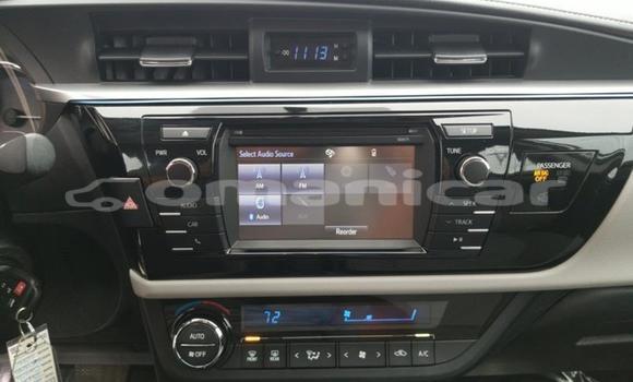 Buy Used Toyota Corolla Other Car in Muscat in Masqat Buy Used Toyota Corolla Other Car in Muscat in Masqat