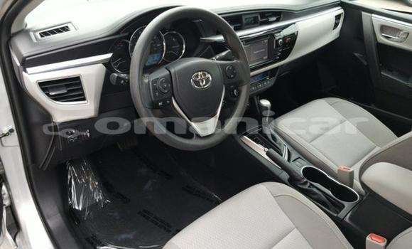 Buy Used Toyota Corolla Other Car in Muscat in Masqat Buy Used Toyota Corolla Other Car in Muscat in Masqat