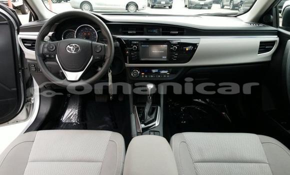 Buy Used Toyota Corolla Other Car in Muscat in Masqat Buy Used Toyota Corolla Other Car in Muscat in Masqat