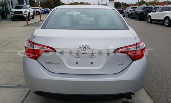 Buy Used Toyota Corolla Other Car in Muscat in Masqat Buy Used Toyota Corolla Other Car in Muscat in Masqat