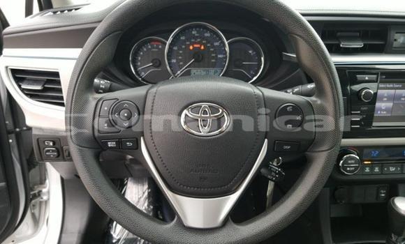 Buy Used Toyota Corolla Other Car in Muscat in Masqat Buy Used Toyota Corolla Other Car in Muscat in Masqat