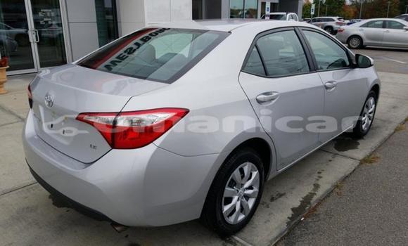 Buy Used Toyota Corolla Other Car in Muscat in Masqat Buy Used Toyota Corolla Other Car in Muscat in Masqat