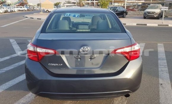 Buy Import Toyota Corolla Other Car in Import - Dubai in Dhufar Buy Import Toyota Corolla Other Car in Import - Dubai in Dhufar