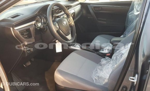 Buy Import Toyota Corolla Other Car in Import - Dubai in Dhufar Buy Import Toyota Corolla Other Car in Import - Dubai in Dhufar