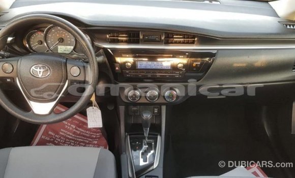 Buy Import Toyota Corolla Other Car in Import - Dubai in Dhufar Buy Import Toyota Corolla Other Car in Import - Dubai in Dhufar