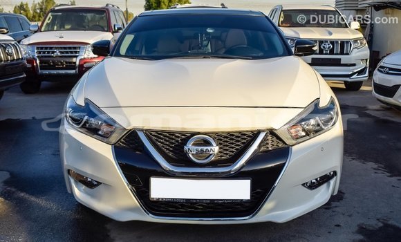Buy Import Nissan Maxima White Car in Import - Dubai in Dhufar Buy Import Nissan Maxima White Car in Import - Dubai in Dhufar