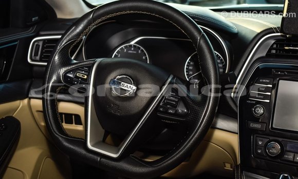 Buy Import Nissan Maxima White Car in Import - Dubai in Dhufar Buy Import Nissan Maxima White Car in Import - Dubai in Dhufar