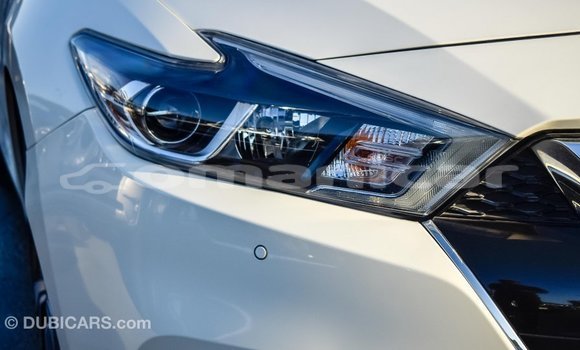 Buy Import Nissan Maxima White Car in Import - Dubai in Dhufar Buy Import Nissan Maxima White Car in Import - Dubai in Dhufar