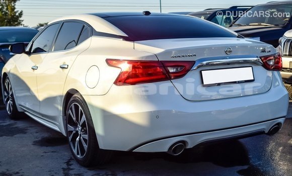 Buy Import Nissan Maxima White Car in Import - Dubai in Dhufar Buy Import Nissan Maxima White Car in Import - Dubai in Dhufar
