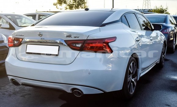 Buy Import Nissan Maxima White Car in Import - Dubai in Dhufar Buy Import Nissan Maxima White Car in Import - Dubai in Dhufar