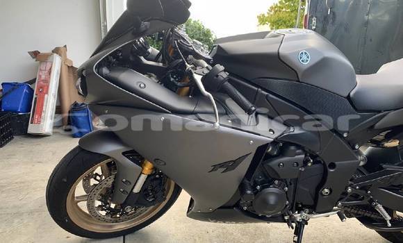Buy Used Kawasaki Ninja ZX-10R Beige Bike in Muscat in Masqat Buy Used Kawasaki Ninja ZX-10R Beige Bike in Muscat in Masqat