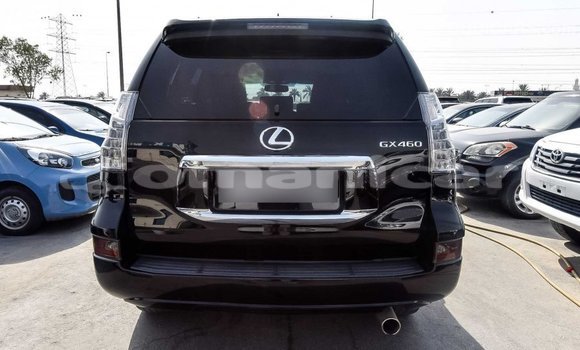 Buy Import Lexus GX Black Car in Import - Dubai in Dhufar Buy Import Lexus GX Black Car in Import - Dubai in Dhufar