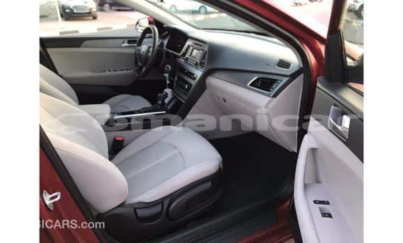 Buy Import Hyundai Sonata Red Car in Import - Dubai in Dhufar Buy Import Hyundai Sonata Red Car in Import - Dubai in Dhufar