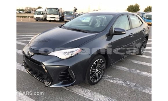 Buy Import Toyota Corolla Other Car in Import - Dubai in Dhufar Buy Import Toyota Corolla Other Car in Import - Dubai in Dhufar