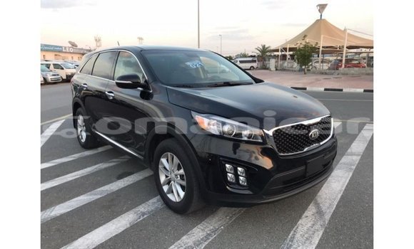 Buy Import Kia Sorento Black Car in Import - Dubai in Dhufar Buy Import Kia Sorento Black Car in Import - Dubai in Dhufar