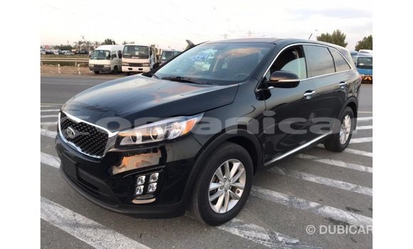 Buy Import Kia Sorento Black Car in Import - Dubai in Dhufar Buy Import Kia Sorento Black Car in Import - Dubai in Dhufar
