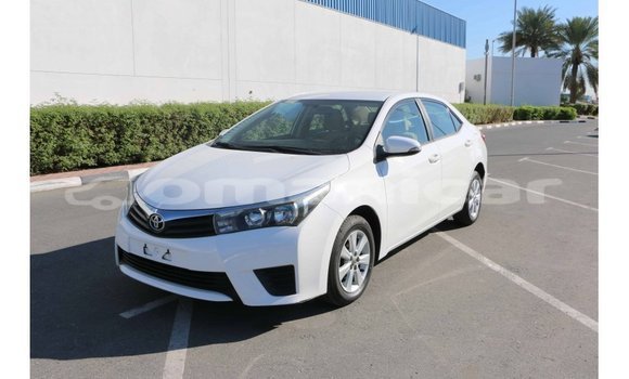Buy Import Toyota Corolla White Car in Import - Dubai in Dhufar Buy Import Toyota Corolla White Car in Import - Dubai in Dhufar