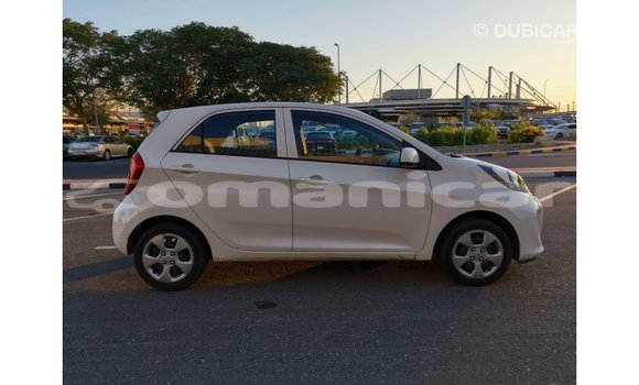 Buy Import Kia Picanto White Car in Import - Dubai in Dhufar Buy Import Kia Picanto White Car in Import - Dubai in Dhufar