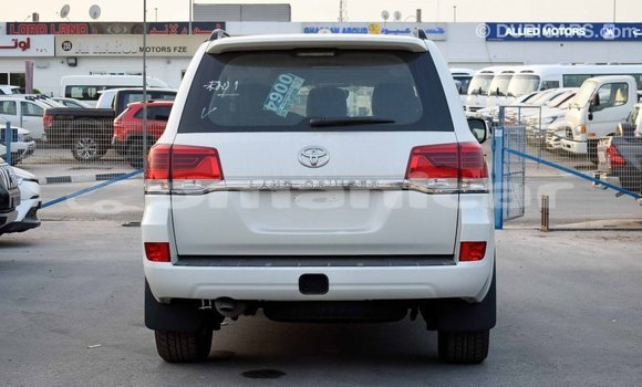 Buy Import Toyota Land Cruiser Other Car in Import - Dubai in Dhufar Buy Import Toyota Land Cruiser Other Car in Import - Dubai in Dhufar
