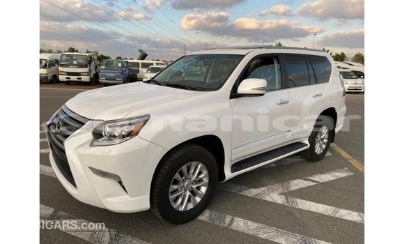 Buy Import Lexus GX White Car in Import - Dubai in Dhufar Buy Import Lexus GX White Car in Import - Dubai in Dhufar