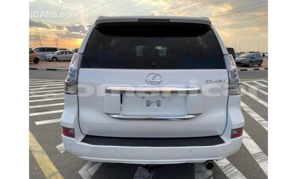 Buy Import Lexus GX White Car in Import - Dubai in Dhufar Buy Import Lexus GX White Car in Import - Dubai in Dhufar