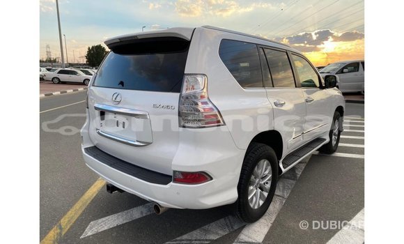 Buy Import Lexus GX White Car in Import - Dubai in Dhufar Buy Import Lexus GX White Car in Import - Dubai in Dhufar