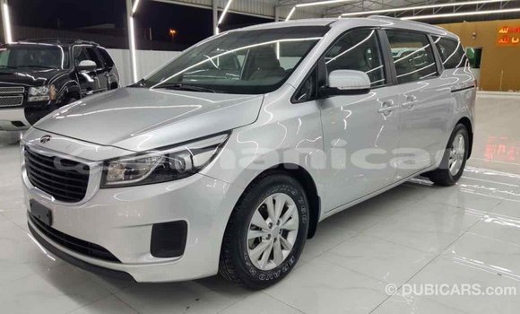 Buy Import Kia Carnival Other Car in Import - Dubai in Dhufar Buy Import Kia Carnival Other Car in Import - Dubai in Dhufar