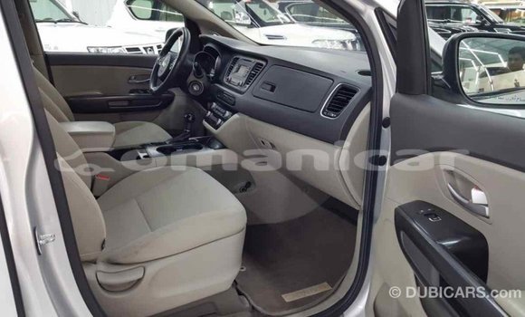 Buy Import Kia Carnival Other Car in Import - Dubai in Dhufar Buy Import Kia Carnival Other Car in Import - Dubai in Dhufar