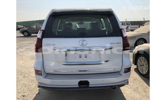 Buy Import Lexus GX White Car in Import - Dubai in Dhufar Buy Import Lexus GX White Car in Import - Dubai in Dhufar
