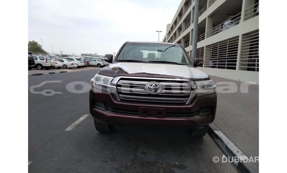 Buy Import Toyota Land Cruiser Brown Car in Import - Dubai in Dhufar Buy Import Toyota Land Cruiser Brown Car in Import - Dubai in Dhufar