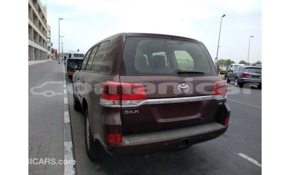Buy Import Toyota Land Cruiser Brown Car in Import - Dubai in Dhufar Buy Import Toyota Land Cruiser Brown Car in Import - Dubai in Dhufar