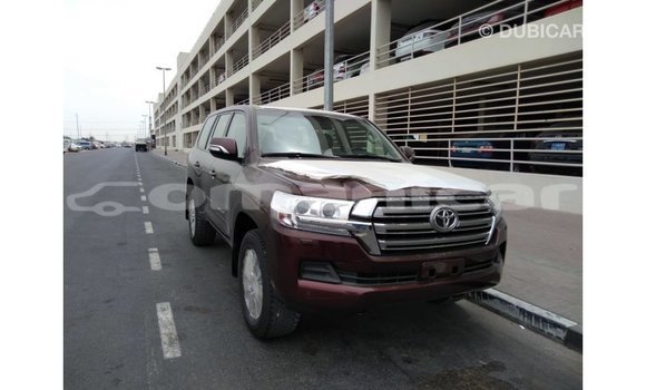 Buy Import Toyota Land Cruiser Brown Car in Import - Dubai in Dhufar Buy Import Toyota Land Cruiser Brown Car in Import - Dubai in Dhufar