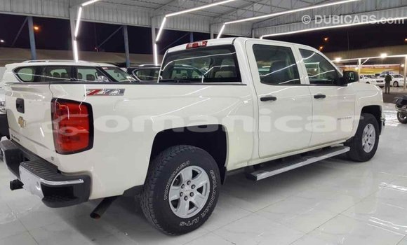 Buy Import Chevrolet Silverado White Car in Import - Dubai in Dhufar