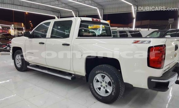Buy Import Chevrolet Silverado White Car in Import - Dubai in Dhufar Buy Import Chevrolet Silverado White Car in Import - Dubai in Dhufar
