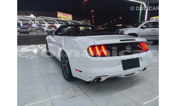 Buy Import Ford Mustang White Car in Import - Dubai in Dhufar Buy Import Ford Mustang White Car in Import - Dubai in Dhufar