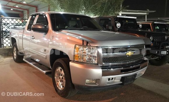 Buy Import Chevrolet Silverado Other Car in Import - Dubai in Dhufar Buy Import Chevrolet Silverado Other Car in Import - Dubai in Dhufar