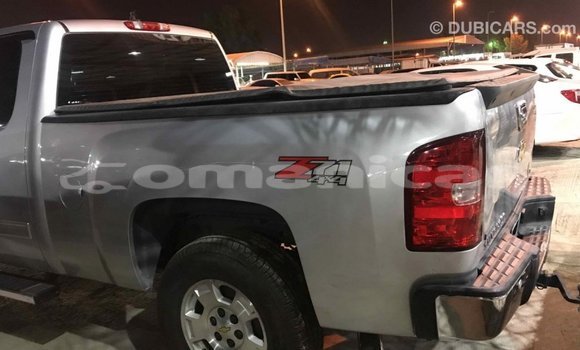 Buy Import Chevrolet Silverado Other Car in Import - Dubai in Dhufar Buy Import Chevrolet Silverado Other Car in Import - Dubai in Dhufar