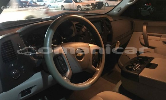 Buy Import Chevrolet Silverado Other Car in Import - Dubai in Dhufar Buy Import Chevrolet Silverado Other Car in Import - Dubai in Dhufar