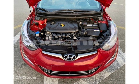 Buy Import Hyundai Elantra Red Car in Import - Dubai in Dhufar Buy Import Hyundai Elantra Red Car in Import - Dubai in Dhufar