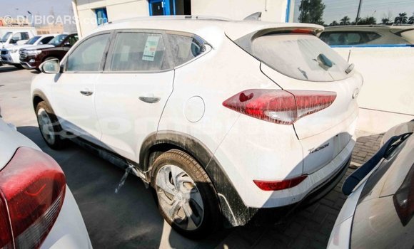 Buy Import Hyundai Tucson White Car in Import - Dubai in Dhufar Buy Import Hyundai Tucson White Car in Import - Dubai in Dhufar