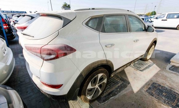 Buy Import Hyundai Tucson White Car in Import - Dubai in Dhufar Buy Import Hyundai Tucson White Car in Import - Dubai in Dhufar