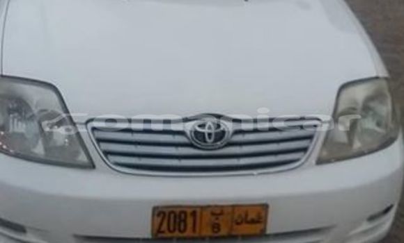 Buy Used Toyota Corolla White Car in Muscat in Masqat