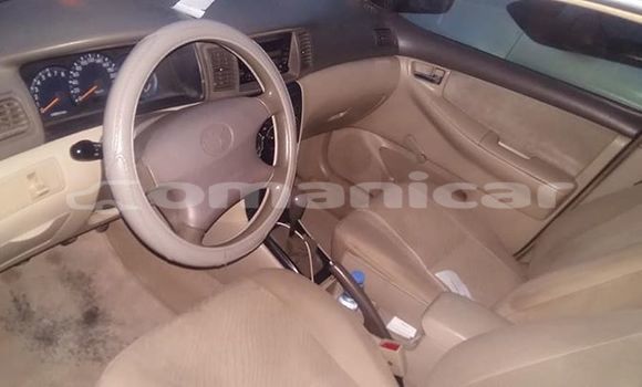 Buy Used Toyota Corolla White Car in Muscat in Masqat Buy Used Toyota Corolla White Car in Muscat in Masqat