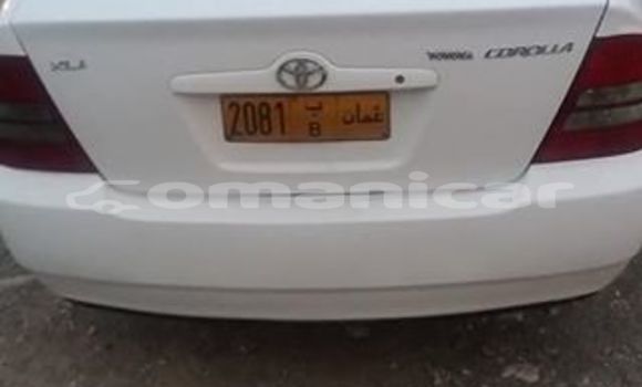 Buy Used Toyota Corolla White Car in Muscat in Masqat Buy Used Toyota Corolla White Car in Muscat in Masqat