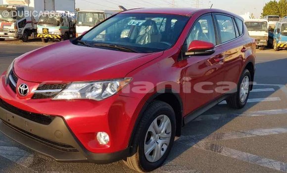 Buy Import Toyota RAV4 Red Car in Import - Dubai in Dhufar Buy Import Toyota RAV4 Red Car in Import - Dubai in Dhufar