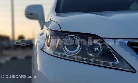 Buy Import Lexus RX 350 White Car in Import - Dubai in Dhufar Buy Import Lexus RX 350 White Car in Import - Dubai in Dhufar