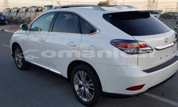 Buy Import Lexus RX 350 White Car in Import - Dubai in Dhufar Buy Import Lexus RX 350 White Car in Import - Dubai in Dhufar