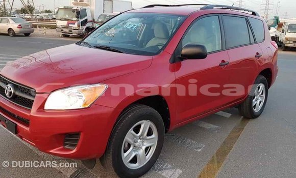 Buy Import Toyota RAV4 Red Car in Import - Dubai in Dhufar Buy Import Toyota RAV4 Red Car in Import - Dubai in Dhufar